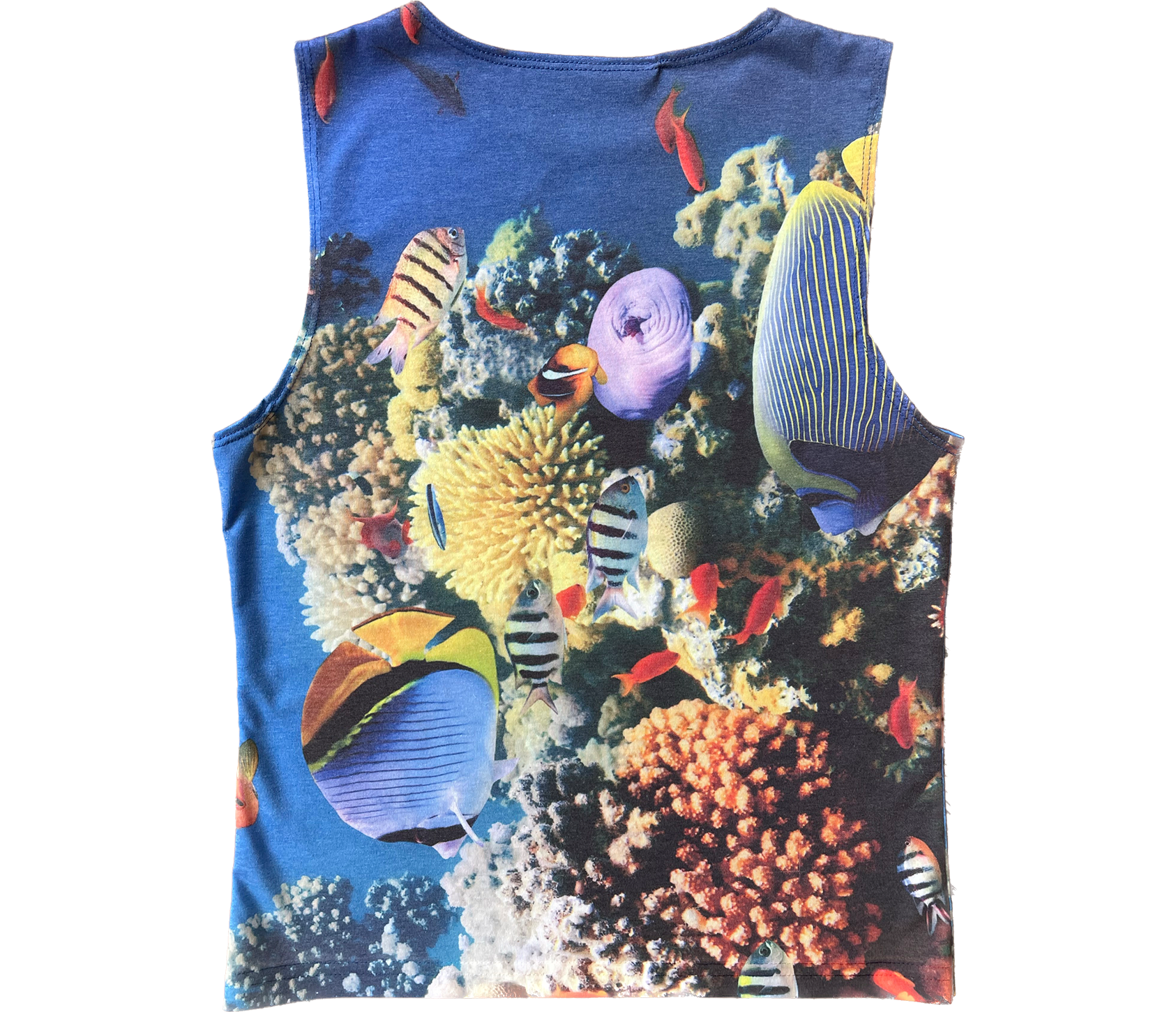 coral tank