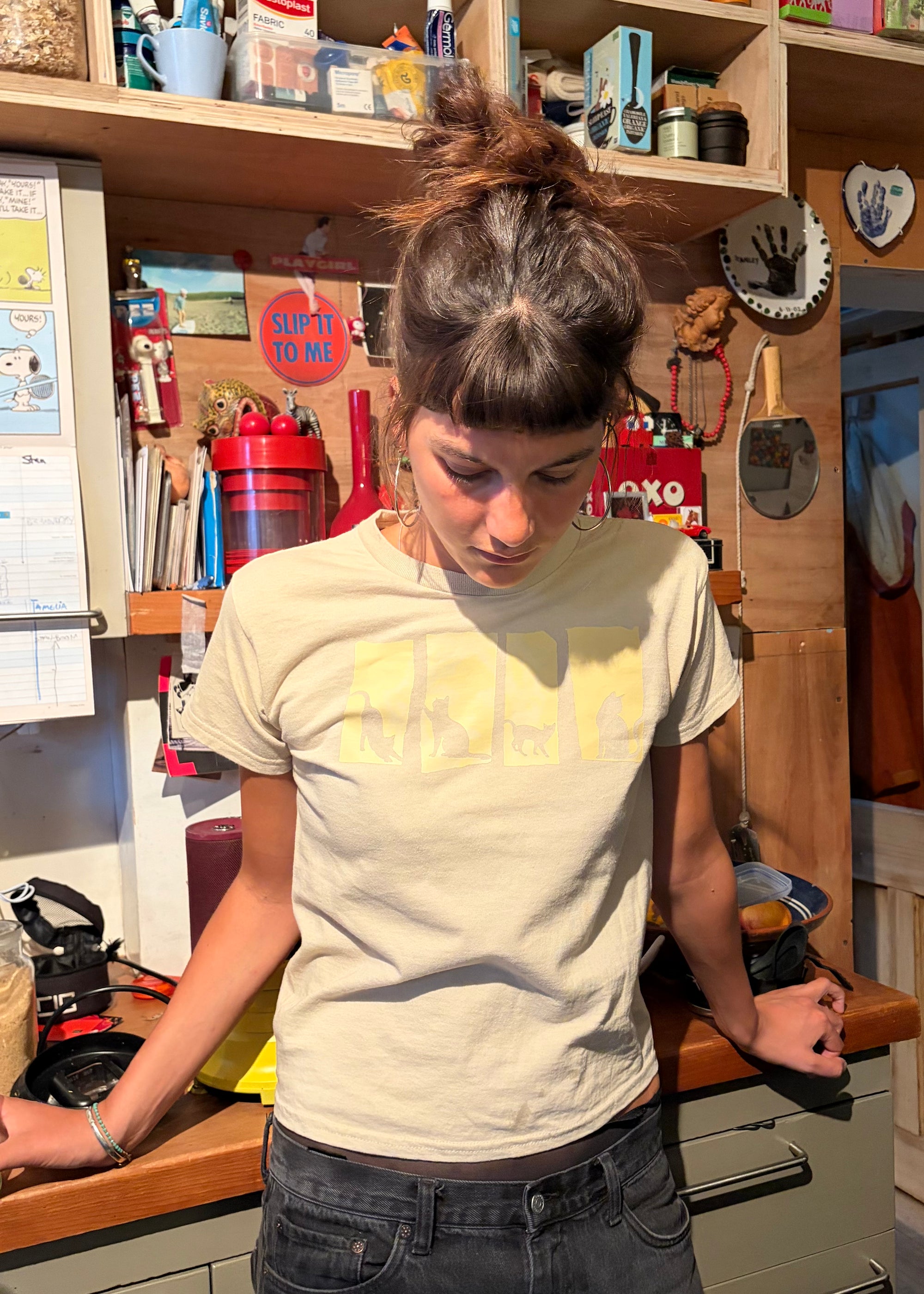 viva la cat t shirt