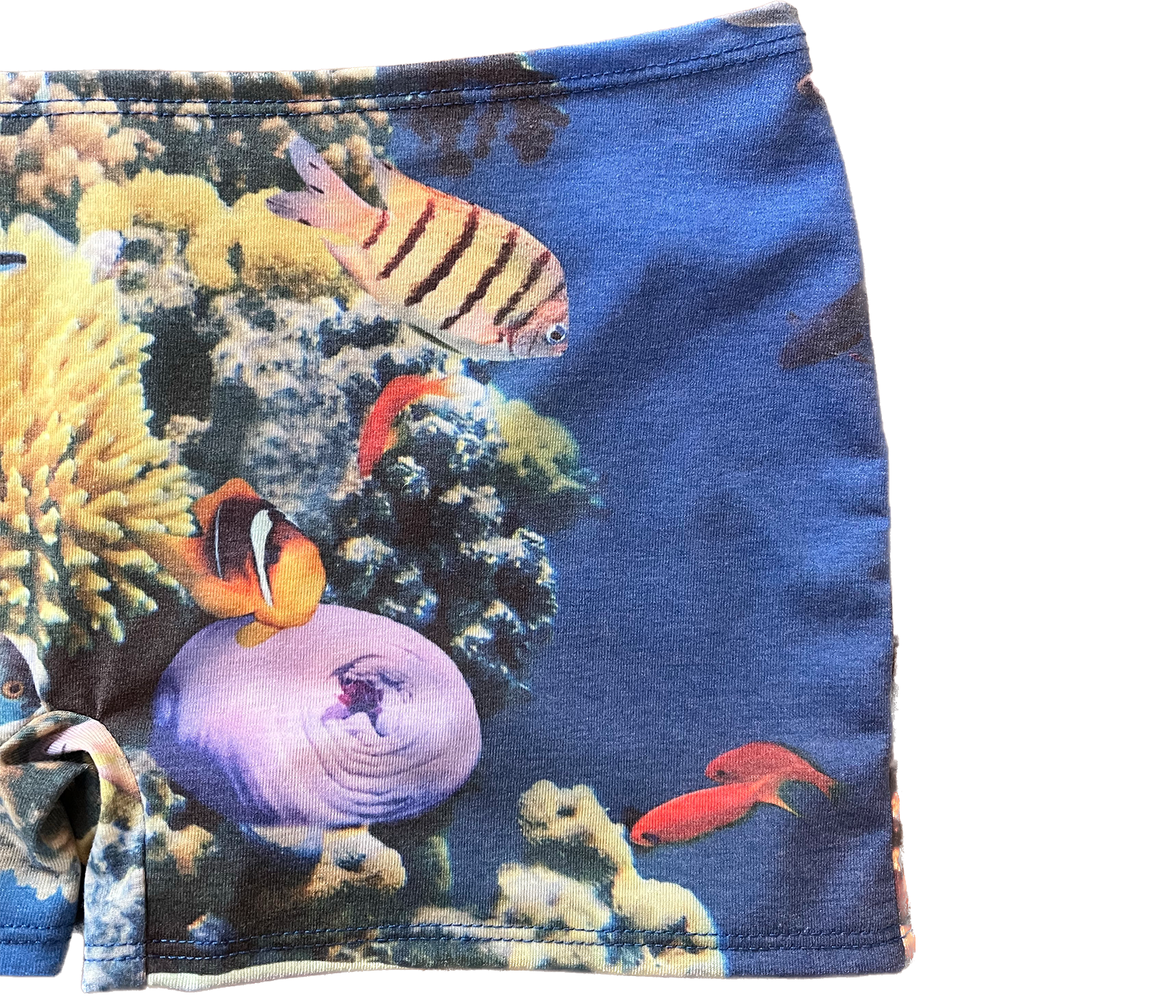 micro short - coral